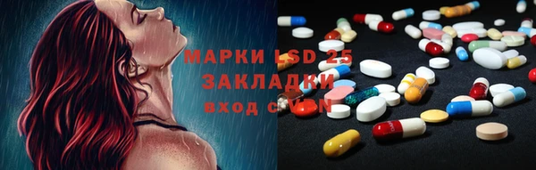 мдпв Богородск