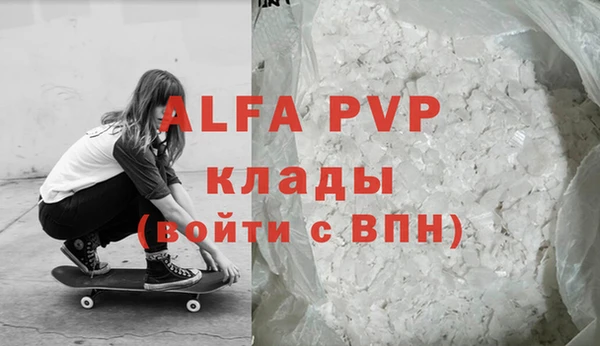 прущие грибы Богородицк