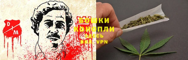тгк Богданович