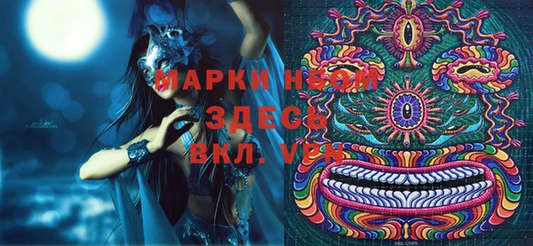 прущие грибы Богородицк