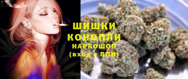 мдпв Богородск